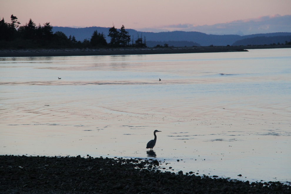 Dusk at Island View Beach Park, BC