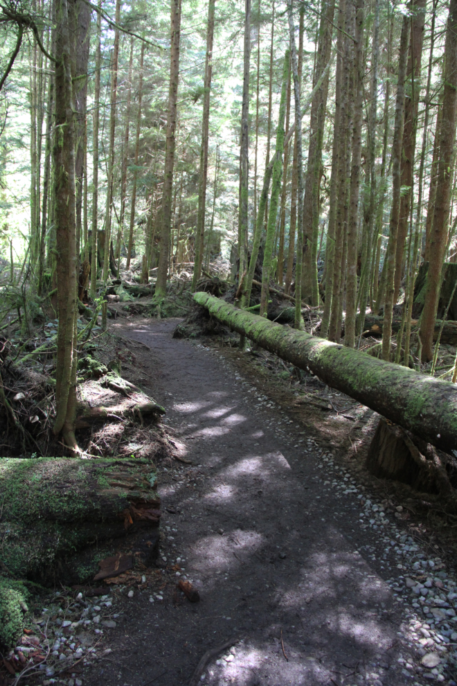 Trail to Sandcut Beach, BC