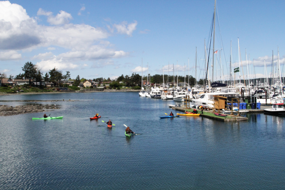 Kayakers at the marina in Sidney, BC
