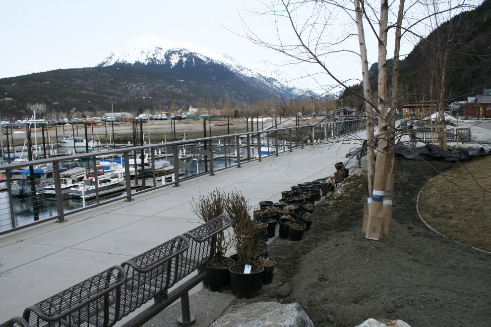Landscaping starts near the Railroad Docks in Skagway on April 4, 2009 - with the temperature at 35° F.