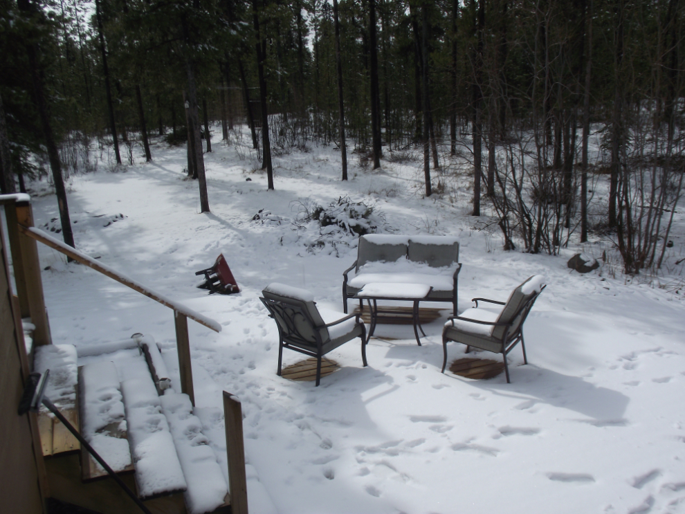 Spring in the Yukon