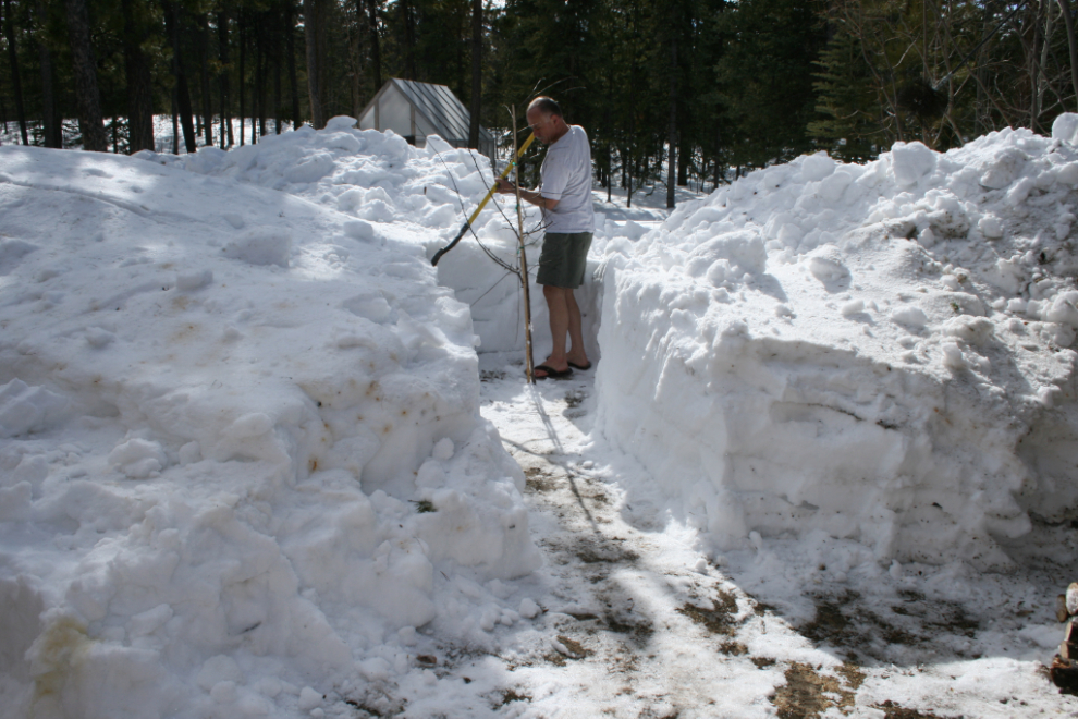 Extreme gardening - digging away 4 feet of snow to start