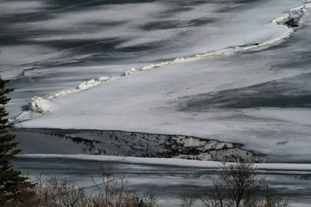 Pressure ridge of ice on Tutshi Lake, BC