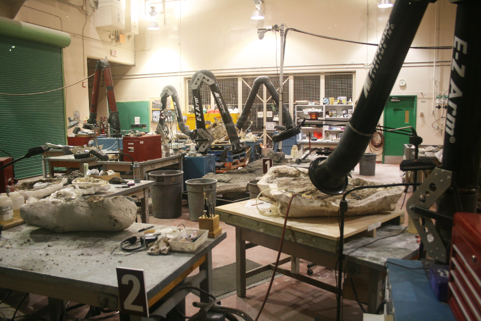 Lab at the Tyrrell Museum