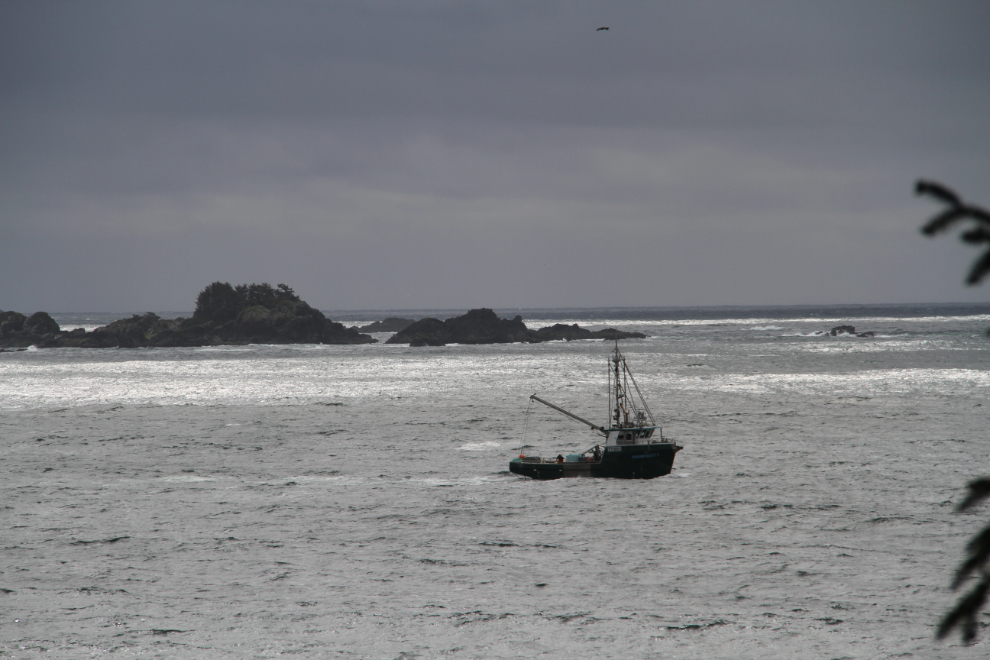 The coast at Ucluelet, BC
