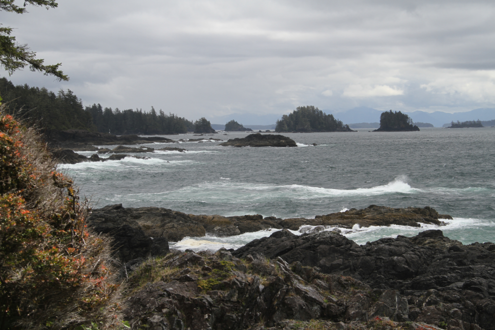 Coastal scene along the Wild Pacific Trail, Ucluelet