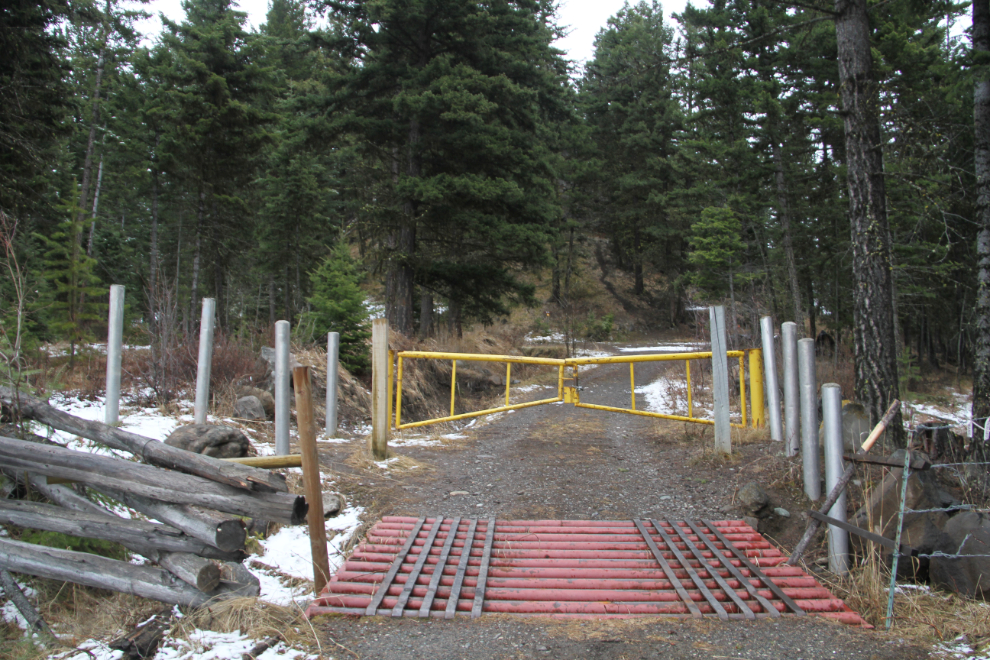 Cattle guard on the Mount Begbie Lookout trail