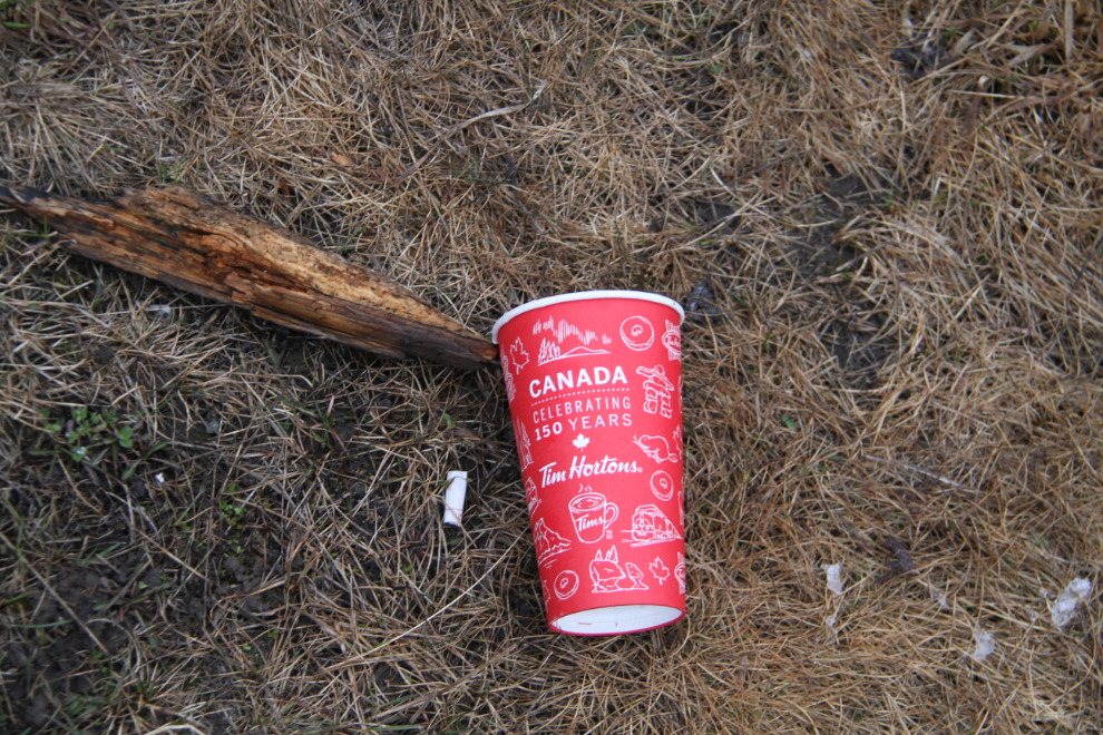 Litter at the Mount Begbie Lookout BC Forest Service Recreation Site