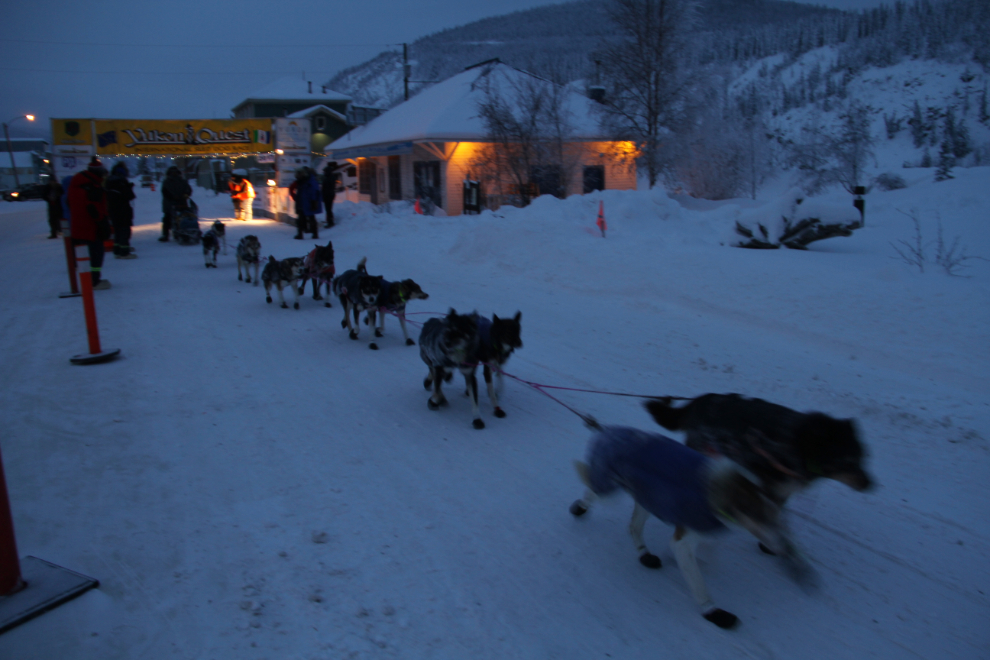 Torsten Kohnert leaves the Dawson City checkpoint of the Yukon Quest, heading for the Yukon River Campground