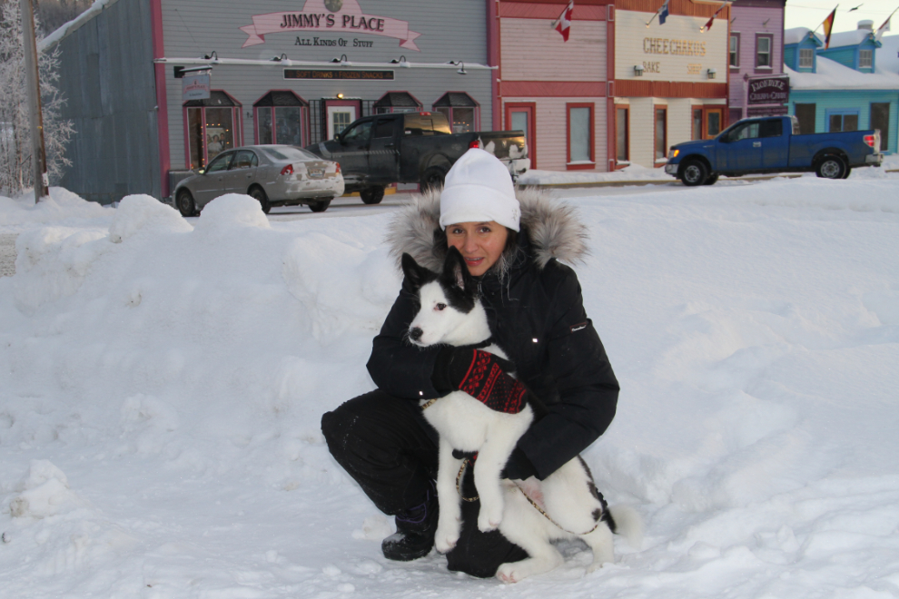 Meeting a former foster puppy in Dawson City