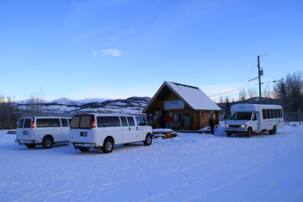 Yukon Wildlife Preserve in the winter
