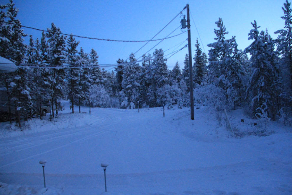 My front yard in Whitehorse on the Winter Solstice