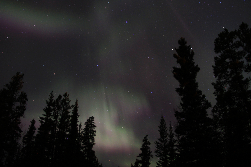 Aurora borealis in Whitehorse, Yukon