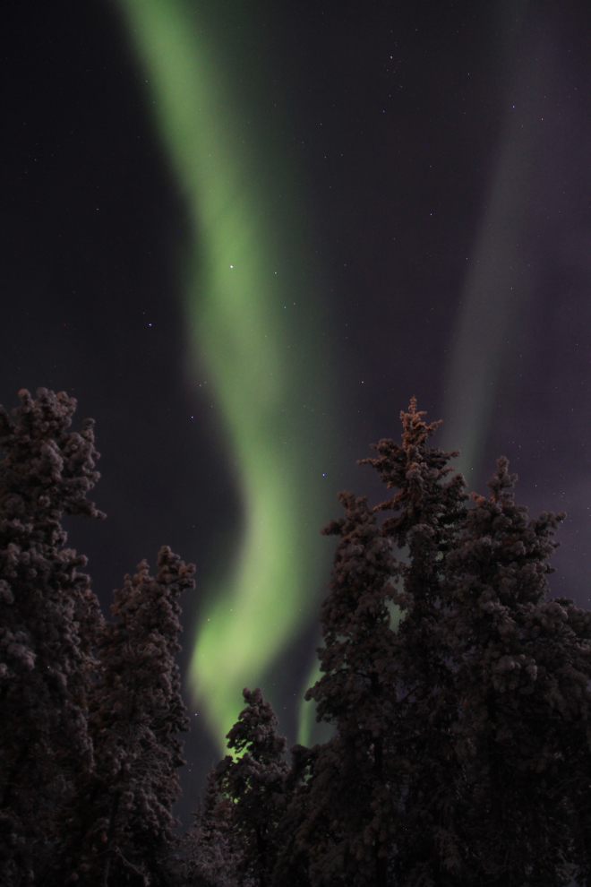 Aurora borealis over my home outside Whitehorse