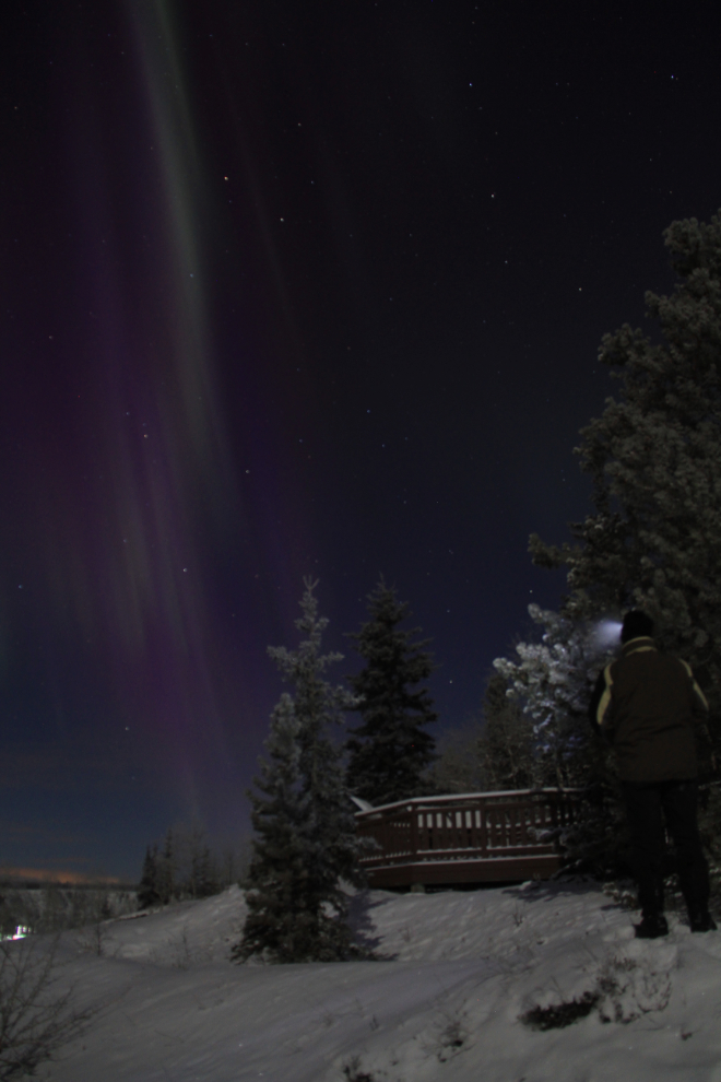 Aurora borealis over the Alaska Highway