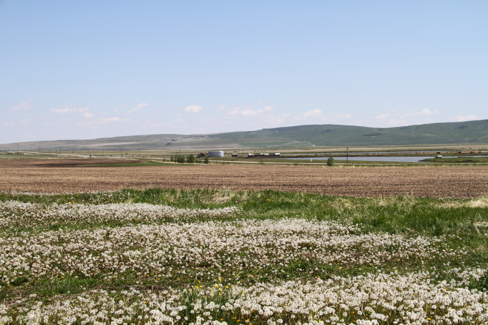 Bar U Ranch National Historic Site, Alberta