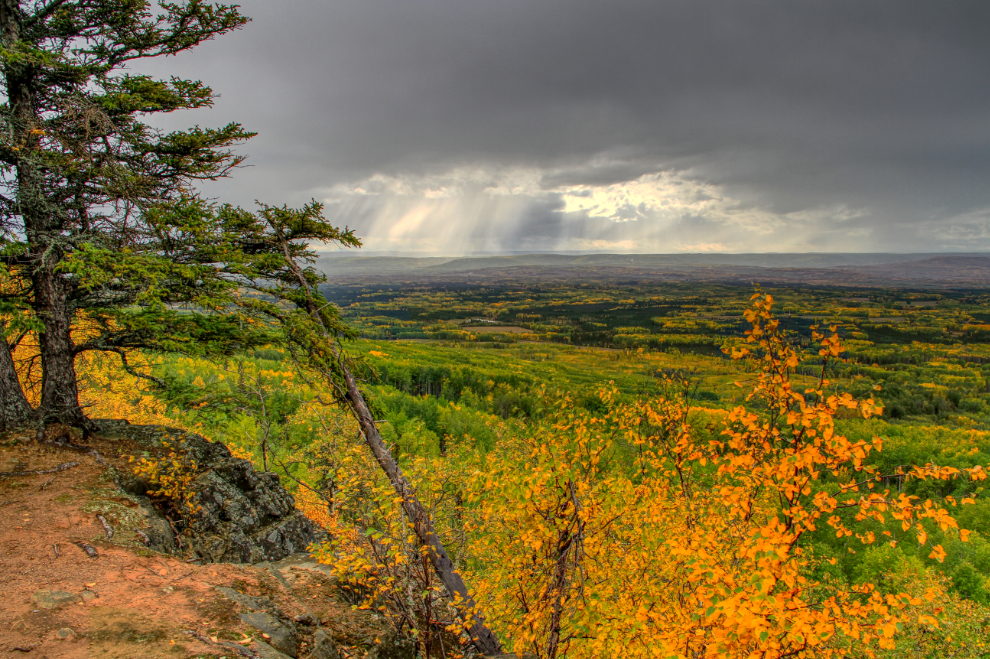 The view from Bear Mountain Wind Park, Dawson Creek, BC