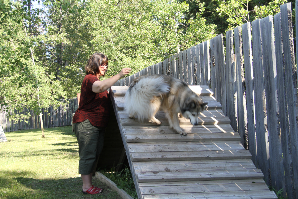 Dog agility park at the Hinton/Jasper KOA Campground