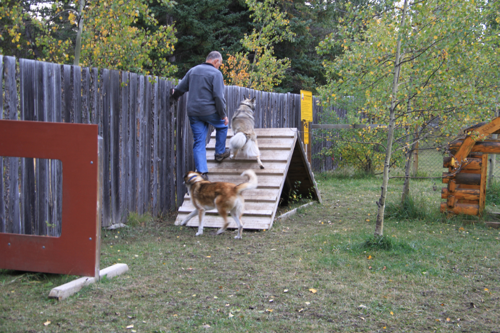 Kamp K9 agility course at the Hinton/Jasper KOA campground