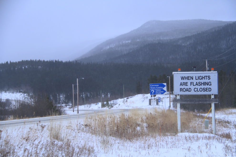 The South Klondike Highway is open on this snowy day
