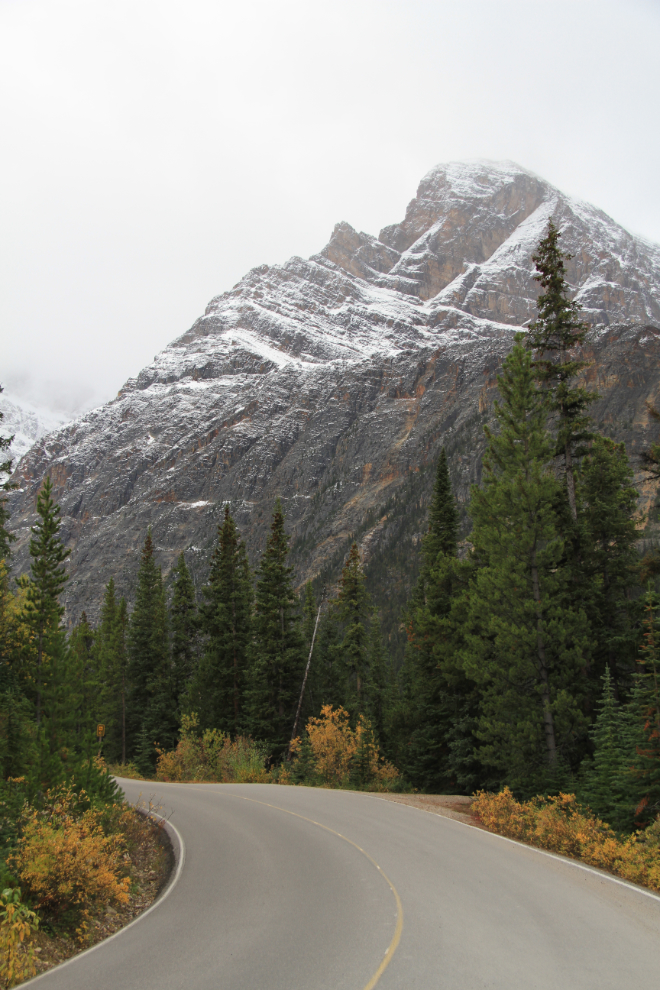 Mount Edith Cavell Road near Jasper, Alberta