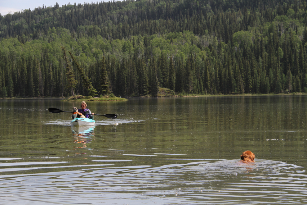 Kayak and dog at Gregg Lake, Alberta