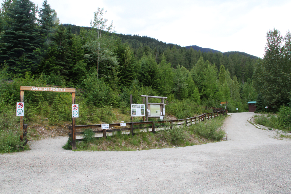 Cedar Snag and North Star Loop, British Columbia, Canada - 16