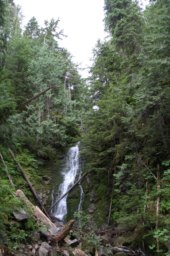 Waterfall in The Ancient Forest, BC