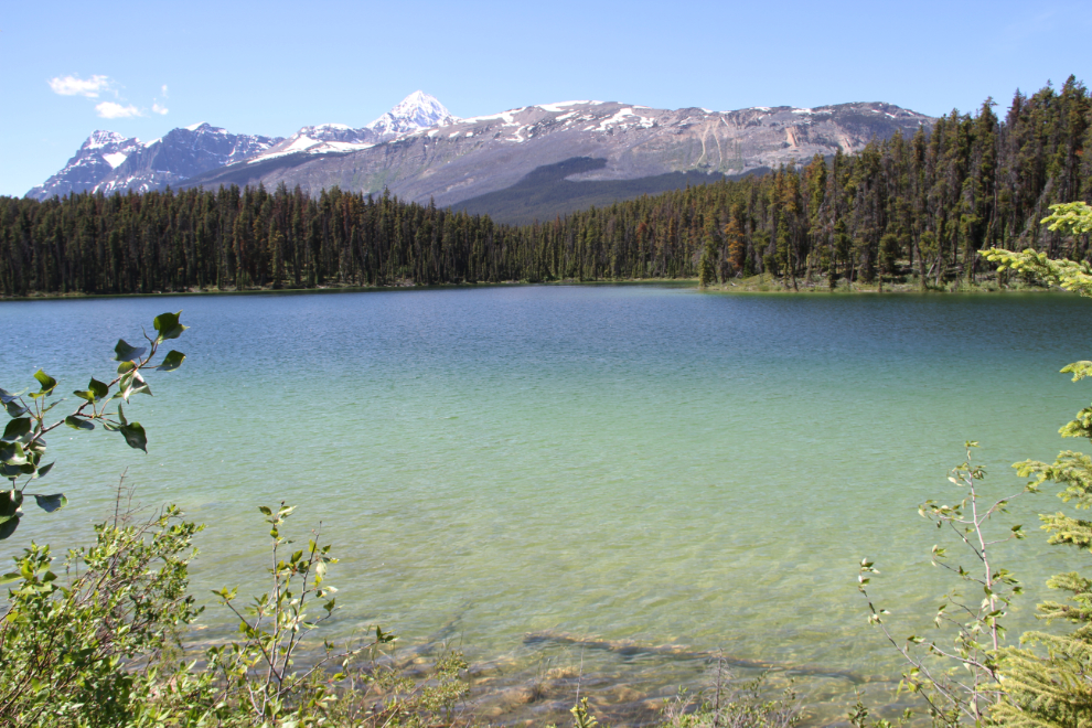 A lake along Highway 93a in Jasper National Park
