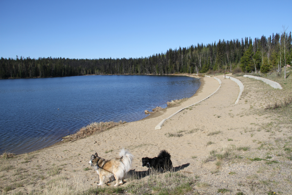 Bear Lake beach at Crooked River Provincial Park, BC