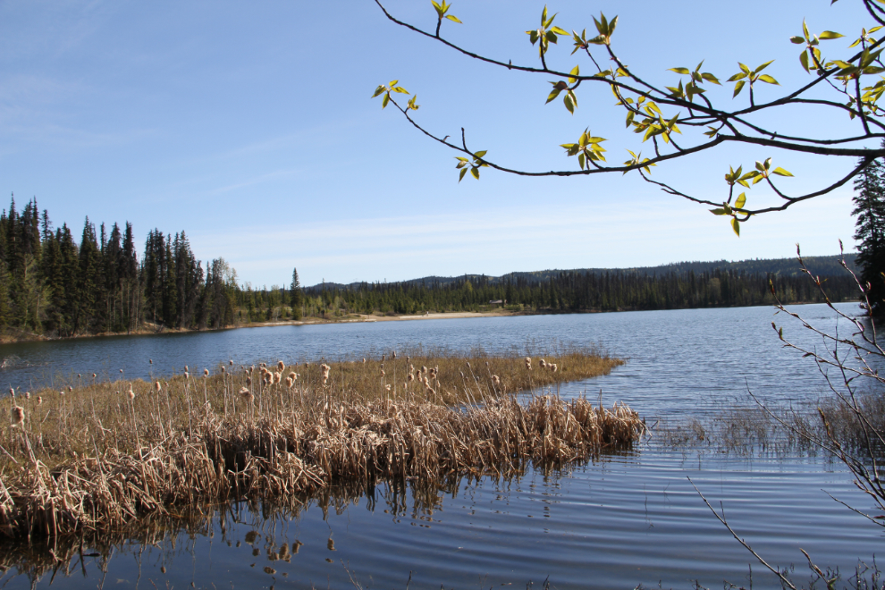 Bear Lake at Crooked River Provincial Park, BC