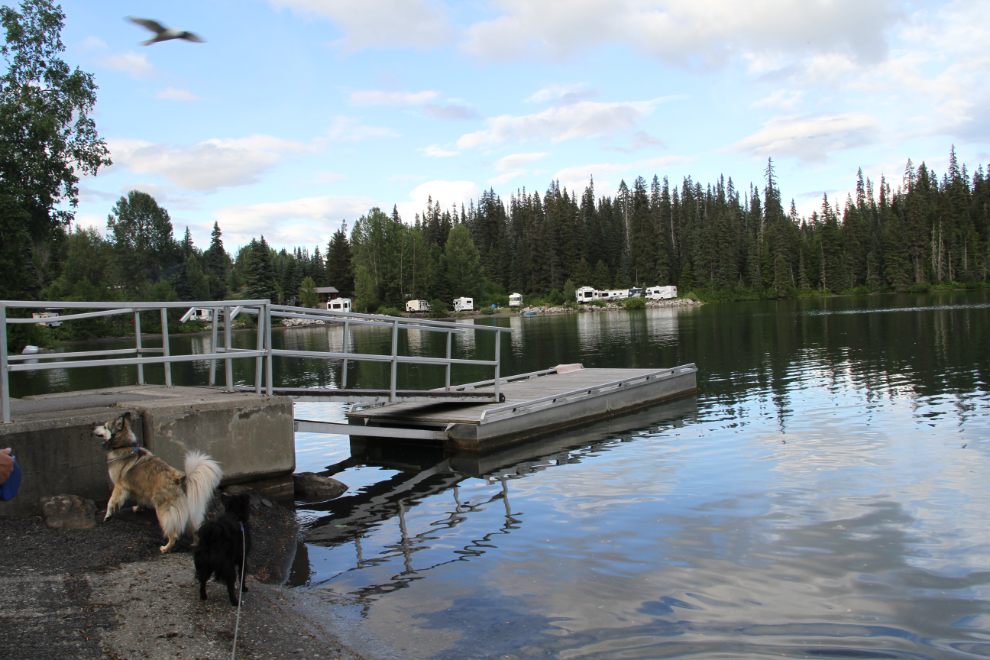 Boat Dock on Meziadin Lake