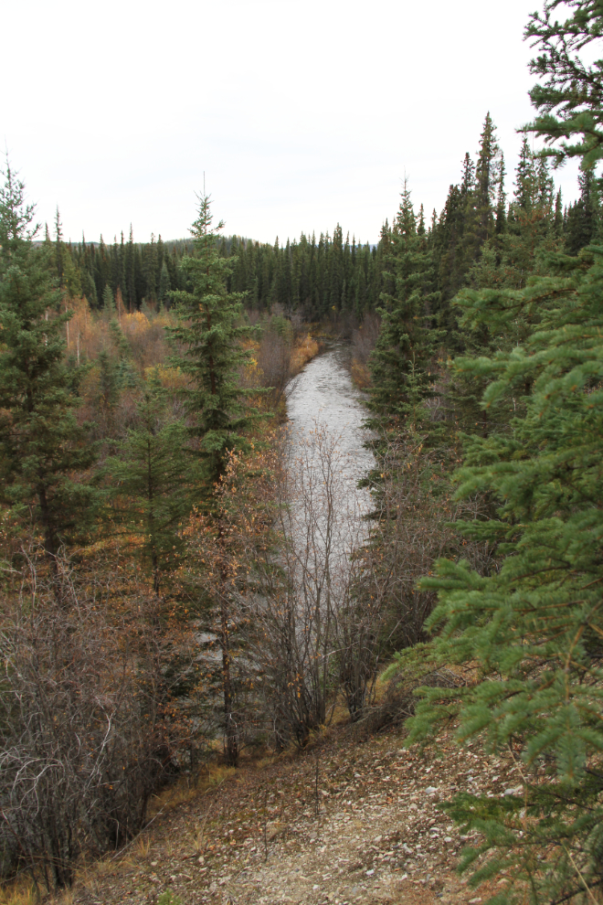 Moose Creek, Yukon