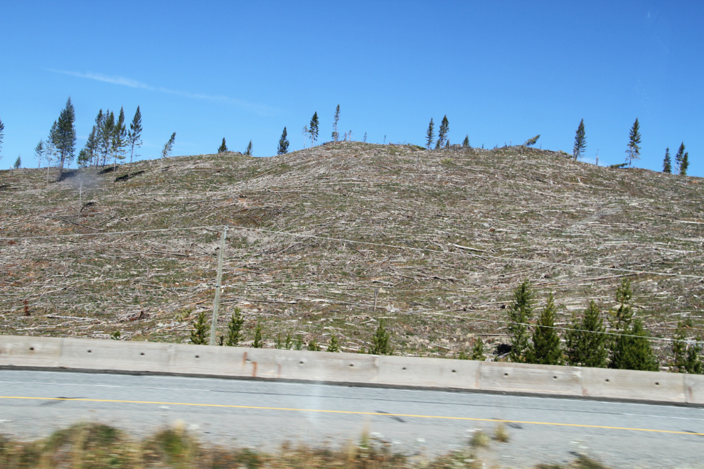 Clear-cut logging along the Okanagan Connector part of Highway 97C, between Merritt and West Kelowna.