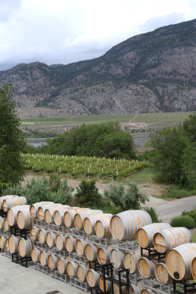Wine barrels and vineyards at La Stella, Osoyoos, BC
