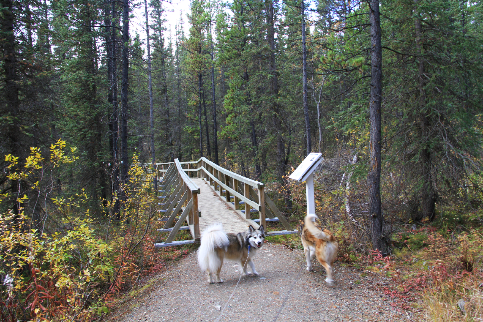Rancheria Falls Recreation Site, Yukon