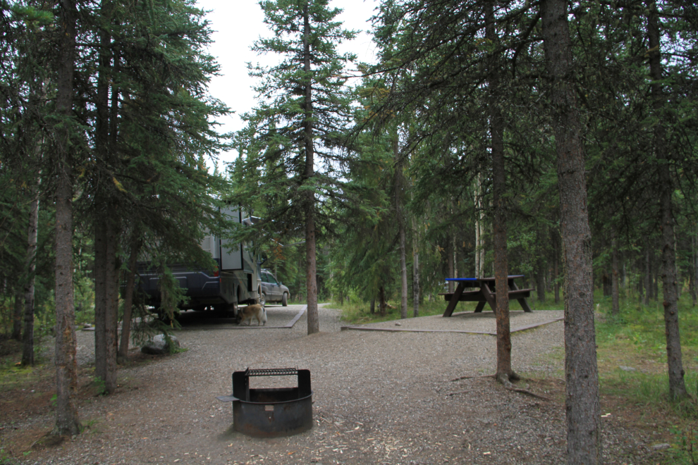 Campsite in Riley Creek Campground, Denali National Park