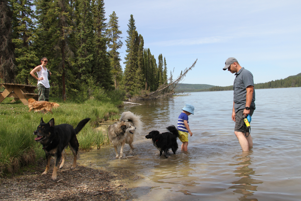Playing with dogs at Gregg Lake