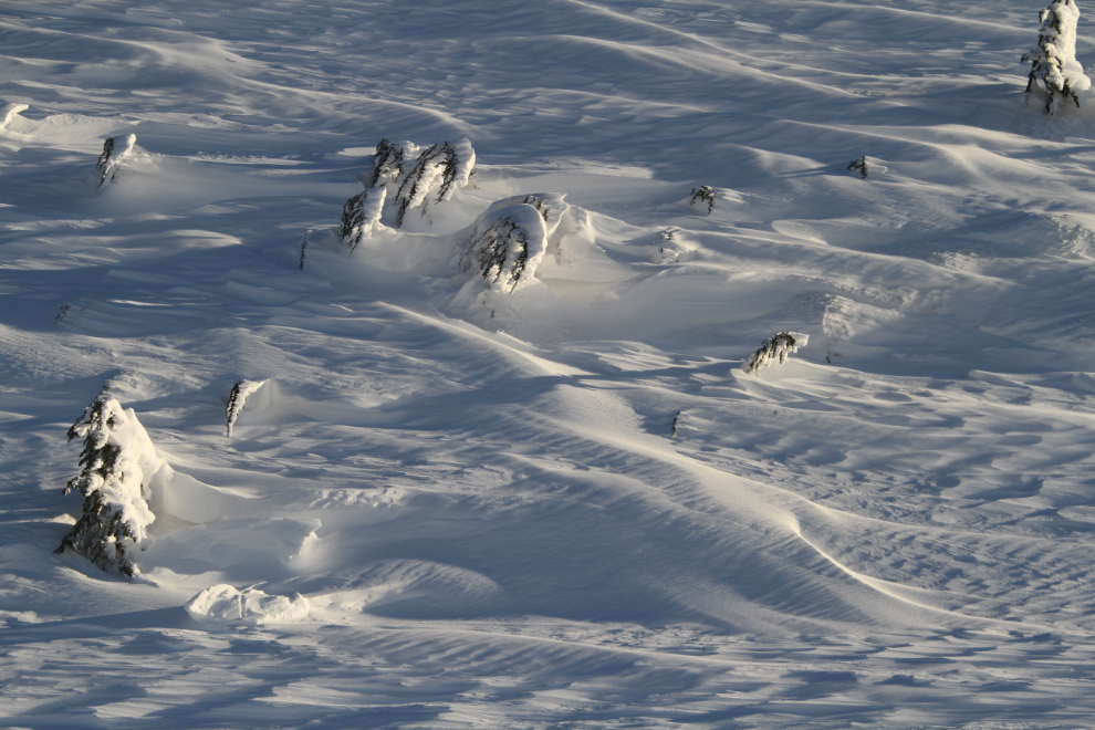 Snow patterns along the South Klondike Highway in the winter