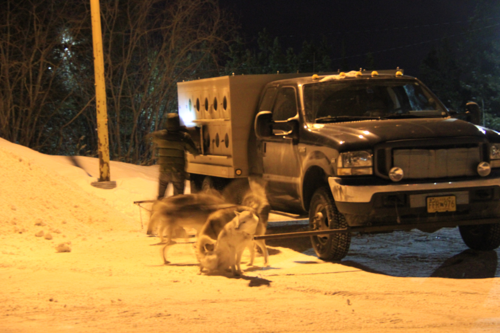 Yukon Quest dog handlers taking care of a team on a bitterly cold night