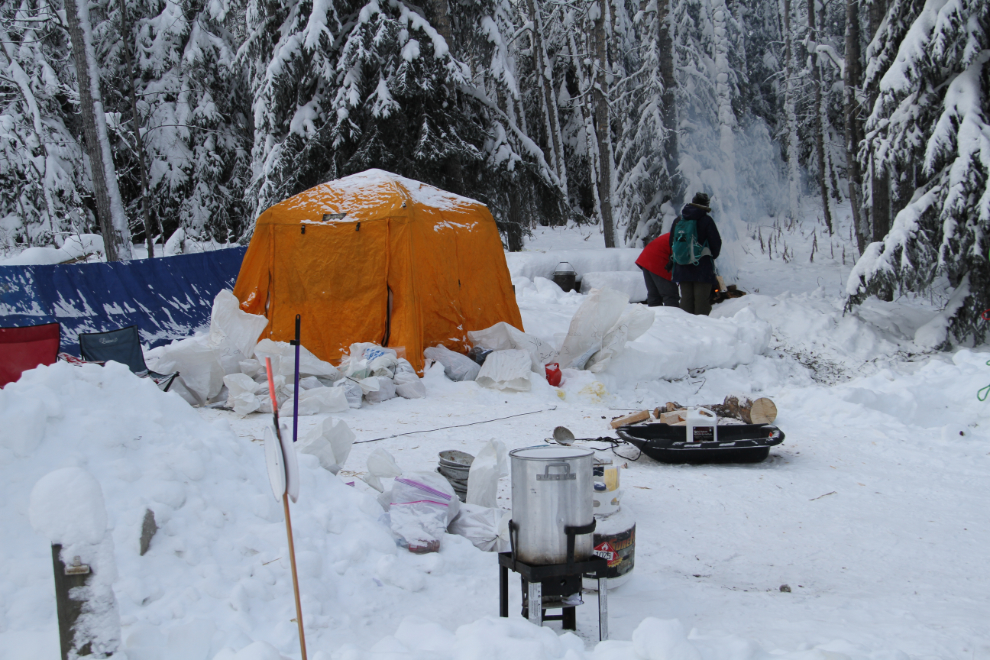 Musher Rob Cooke's camp in Dawson City