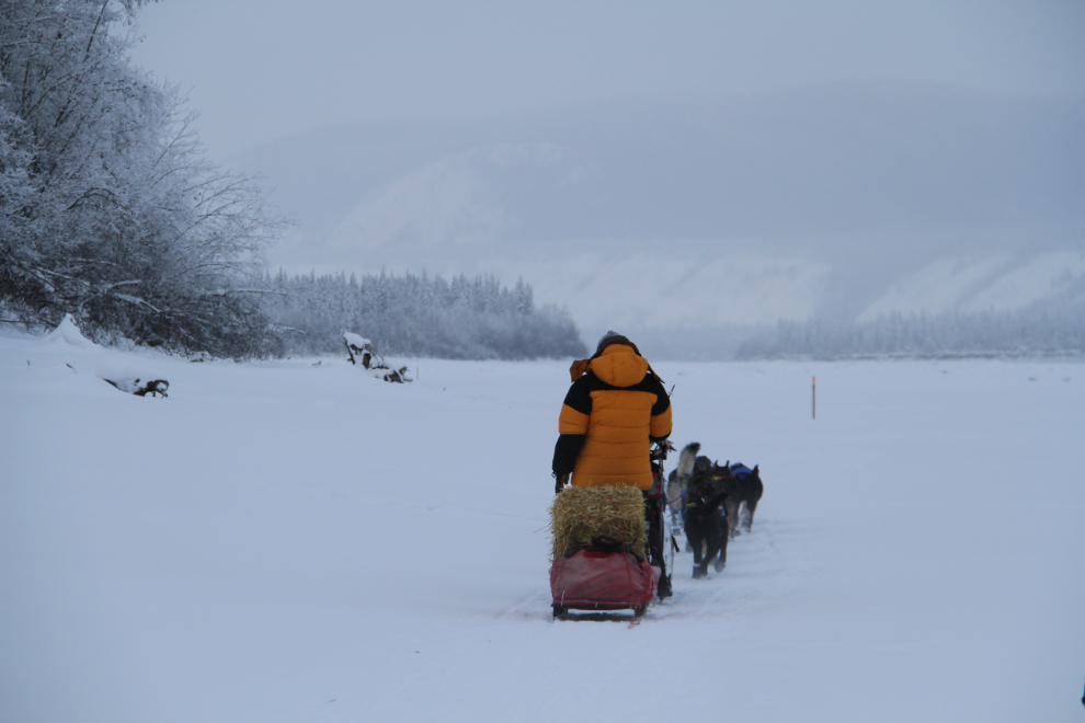 Katherine Keith leaves Dawson City in Yukon Quest 2017