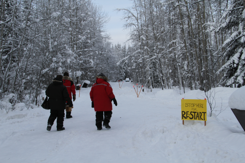 The restart line in Dawson City