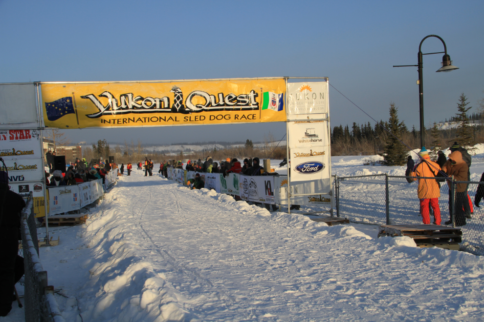 Yukon Quest 2015 Start - Whitehorse, Yukon