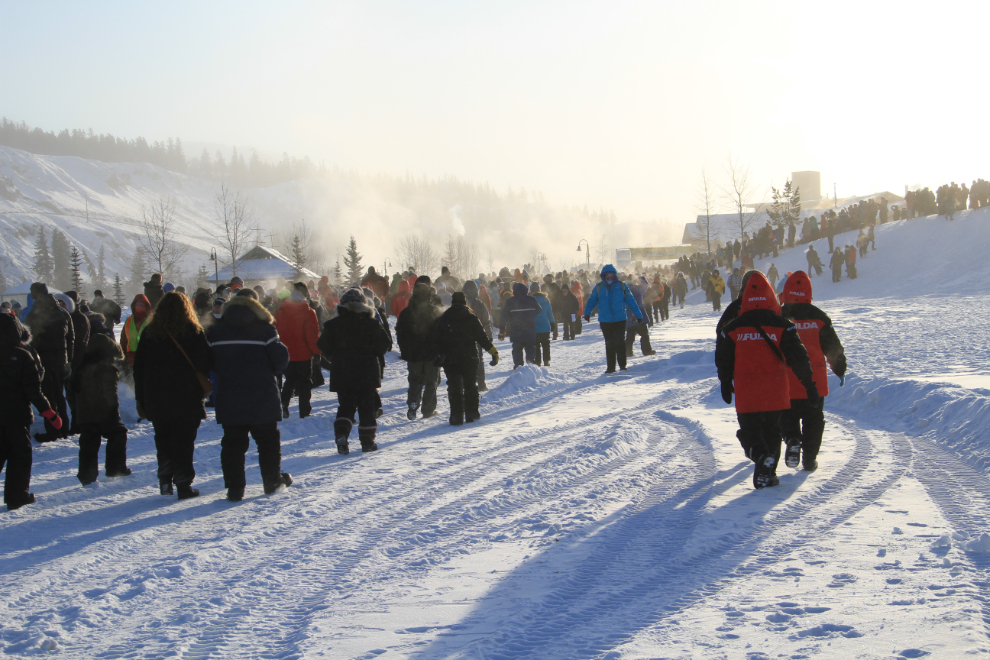 Yukon Quest 2015 Start - Whitehorse, Yukon