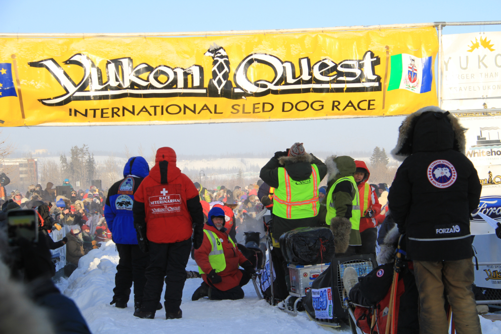 Yukon Quest 2015 Start - Whitehorse, Yukon