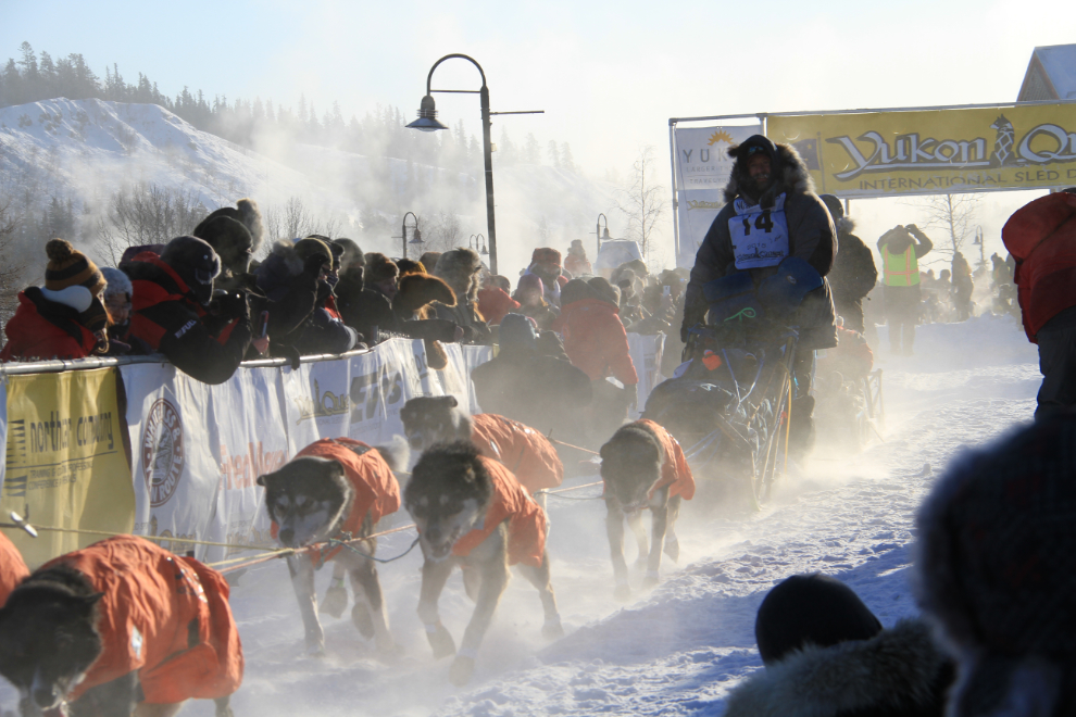 Yukon Quest 2015 Start - Whitehorse, Yukon