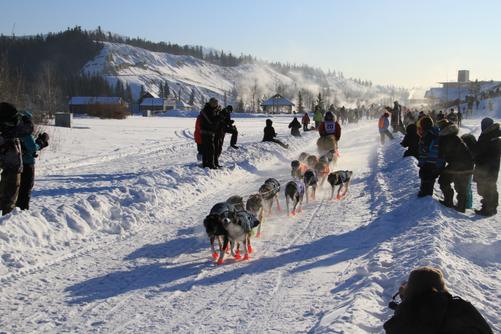 Yukon Quest 2015 Start - Whitehorse, Yukon