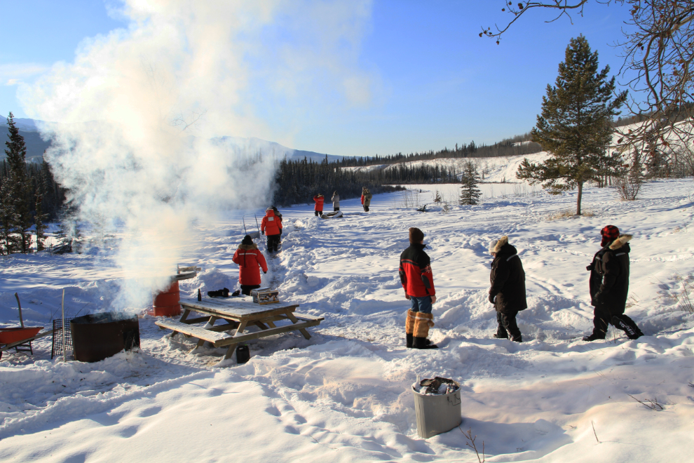 Yukon Quest 2015 Start - Whitehorse, Yukon