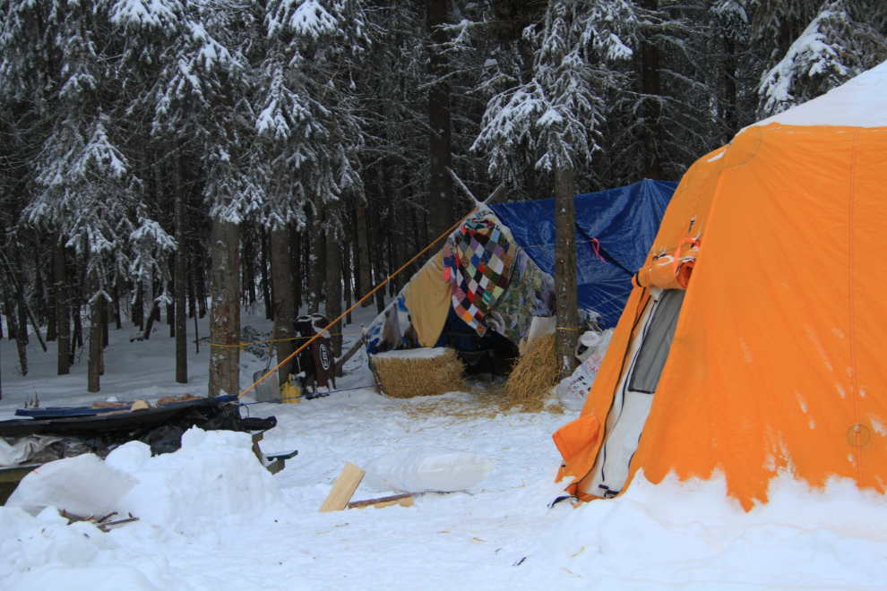 Yukon Quest musher's camp at Dawson City, Yukon